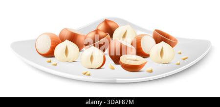 Haselnüsse auf einer weißen Porzellanplatte. Ganze und halbe Haselnuss isoliert auf weißem Hintergrund. Geschälte und ungeschälte Nüsse. Haselnusskerne sind reif und ta Stock Vektor