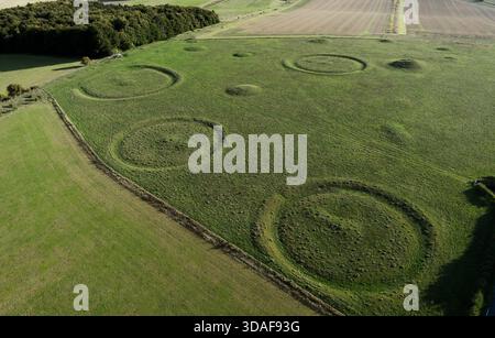 Oakley Down Barrow Cemetery, Dorset. Hauptgruppe von bronzezeitlichen Hügeln, Scheiben- und Schälkarren. Inhumation und Einäscherung Primär- und Sekundärbeerdigungen Stockfoto