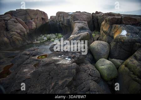 Felsen und Felsbrocken bilden eine zerklüftete Landschaft entlang der Küste von Teriberka in Russland am ruhigen Morgen. Wellen schlagen sanft gegen die Steine. Stockfoto