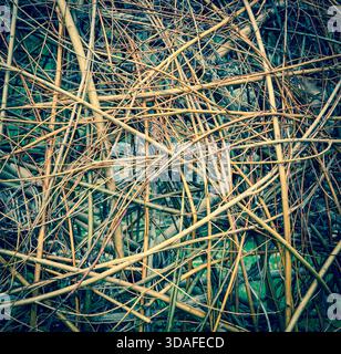 Hintergrund aus Bambus oder Weidengeflecht. Vintage. Stockfoto