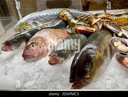 Frischer Fisch und Meeresfrüchte auf Eis im Restaurant Stockfoto