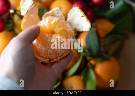 Teilweise geschälte Mandarine über Kiste mit sichtbaren glänzenden Segmenten, intime gemütliche Komposition mit grünen Stielen und festlichen roten Kugeln, die fr Stockfoto