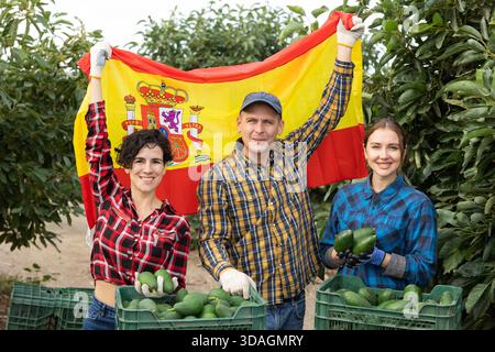 Aufgeregt Mann und zwei Frauen, die die Flagge Spaniens halten, nachdem sie Avocados auf der Farm geerntet haben Stockfoto