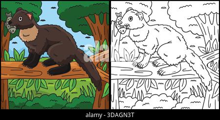 Waldtier Marder Malseite Illustration Stock Vektor