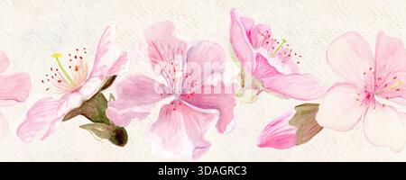 Sakura Blumen horizontale nahtlose Bänder Aquarell, rosafarbene Töne, handbemalt in natürlichem botanischem Stil. Perfekt für Hochzeitseinladungen im Frühling Stockfoto