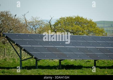 Ein Feld aus Solarpaneelen erstreckt sich über ein grasbewachsenes Feld unter hellem Himmel in Cowbridge, Wales. Stockfoto