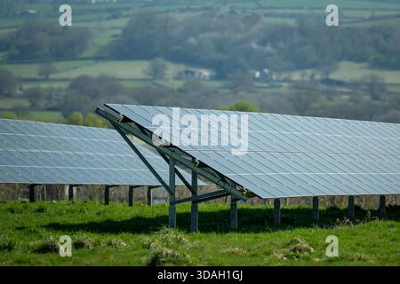 Ein Feld aus Solarpaneelen erstreckt sich über ein grasbewachsenes Feld unter hellem Himmel in Cowbridge, Wales. Stockfoto