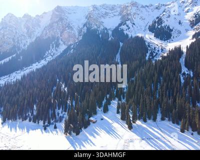 Aus der Vogelperspektive auf eine kleine Holzhütte eingebettet in eine verschneite Lichtung am Fuße eines riesigen, steilen Berghangs, der von dichtem dunklen Kiefernwald bedeckt ist Stockfoto