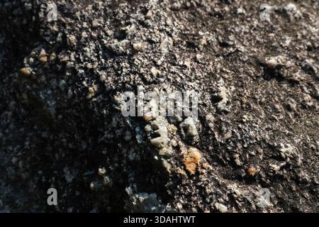 Nahaufnahme der dunklen, rauen Gesteinsoberfläche. Natürlicher Granitstein Texturhintergrund mit Mineral Kristallmustern, die ein solides und erdiges Gefühl schaffen Stockfoto