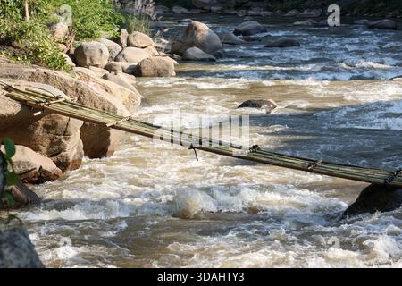 Wilde Bambusbrücke über den schnell fließenden Fluss. Eine ruhige natürliche Wasserlandschaft im Wald bietet einen Pfad für Abenteuer und Verbindung mit ungezähmten Menschen Stockfoto