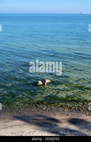 Eine junge Frau mit dunklem Haar sitzt ruhig auf Felsen im flachen, transparenten Wasser der Ostsee. Das ruhige Meer erstreckt sich zum Horizont unter klarem blauem Himmel. Stockfoto