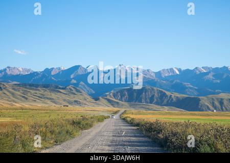 Lange, gerade Feldstraße, die sich durch eine grasbewachsene Ebene in Richtung eines majestätischen Bergrückens mit schneebedeckten Gipfeln unter blauem Himmel erstreckt Stockfoto