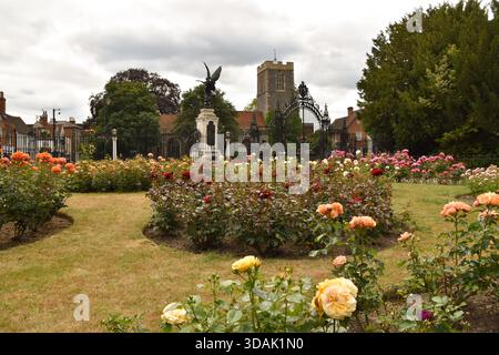 Blumenbeete vor der All Saints Church in der Colchester High Street Stockfoto