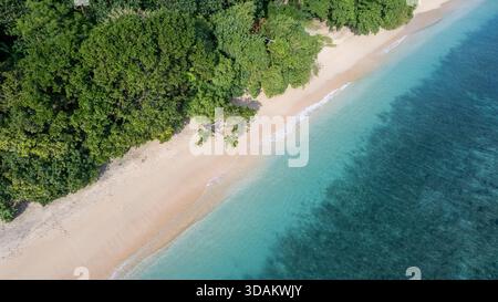 Die atemberaubende Perspektive zeigt das klare türkisfarbene Wasser, den weißen Sandstrand und den dichten grünen tropischen Regenwald, der die Küste trifft. Stockfoto