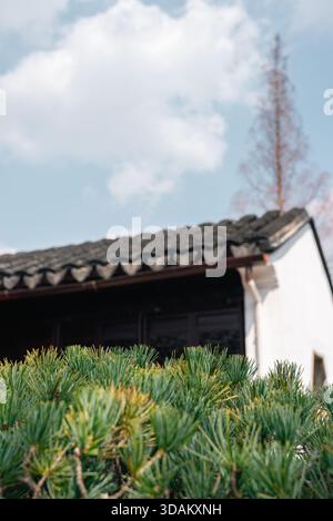 Suzhou, China - 16. März 2025 : Lingering Garden Liuyuan, traditioneller chinesischer Garten Stockfoto