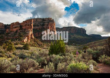 Der Weg führt in den Devils Kitchen Canyon am Colorado National Monument in der Nähe von Fruita, Colorado, mit steilen Schluchtwänden und Abendlicht. Stockfoto