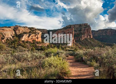 Der Weg führt in den Devils Kitchen Canyon am Colorado National Monument in der Nähe von Fruita, Colorado, mit steilen Schluchtwänden und Abendlicht. Stockfoto