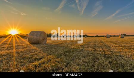Heuballen auf einem ernteten Feld, das von einer niedrigen goldenen Sonne beleuchtet wird und bei Sonnenuntergang auf dem ländlichen Ackerland einen Sonneneffekt erzeugt. Stockfoto