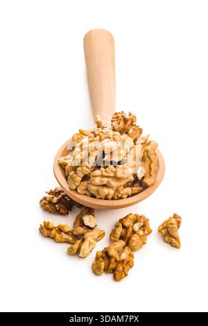 Geschälte Walnusskerne in Holzschaufel isoliert auf weißem Hintergrund. Stockfoto
