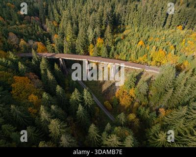 Aus der Vogelperspektive führt eine Betonbrücke durch einen dichten Wald mit herbstlichen Tönen, und eine enge Straße schlängelt sich unter dem Tal Cierna Voda, Zilinsky kraj, SL Stockfoto