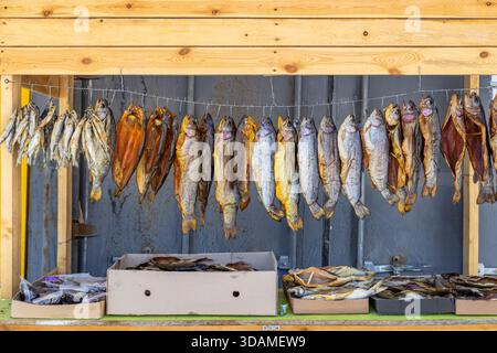 Verschiedene Arten von getrockneten Räucherfischen hängen elegant in einem rustikalen Marktstand. Tageslicht beleuchtet das handwerkliche Display und erinnert an natürliche Essensatmosphäre. Stockfoto
