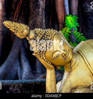 Buddhistische Statuen in einem Tempel in Vientiane, Laos, Südostasien Stockfoto