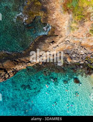 Aus der Vogelperspektive auf die zerklüftete Küste trifft auf das türkisfarbene Meer, wo Schwimmer das klare Wasser in der Nähe der felsigen Küste in Lahaina, Hawaii, USA, bestaunen Stockfoto