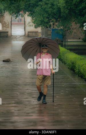 Monsunzeit in Indien: Ein einsamer älterer Mann geht auf einem regendurchfluteten Weg zur Kamera, geschützt von einem großen schwarzen Schirm. Stockfoto