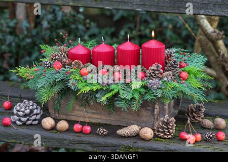 Adventsarrangement mit roten Kerzen, Nadelzweigen, Kegeln und Krabbenäpfeln in einer alten Ziegelform Stockfoto
