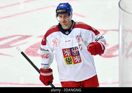 Liberec, Tschechische Republik. Dezember 2025. Roman Cervenka aus Tschechien feiert ein Tor während der Schweizer Hockeyspiele, Teil der Euro Hockey Tour Serie, Spiel Tschechische Republik gegen Finnland am 11. Dezember 2025 in Liberec, Tschechische Republik. Quelle: Radek Petrasek/CTK Photo/Alamy Live News Stockfoto