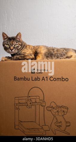 Jurmala, Lettland - 11.12.2025: Nahaufnahme mit neuem 3D-Drucker Bambu Lab A1 Combo mit AMS. Die Katze liegt auf einem Karton eines 3D-Druckers in einem Raum Stockfoto