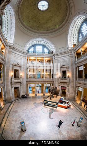 Smithsonian Natural History Museum Kenneth E Behring Family Rotunda ...