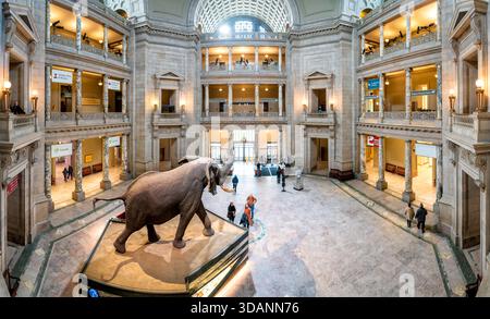Smithsonian Natural History Museum Kenneth E Behring Family Rotunda ...