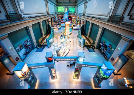 Smithsonian Natural History Museum Sant Ocean Hall Washington DC // WASHINGTON DC — die Sant Ocean Hall im Smithsonian National Museum of Natural History zeigt ein lebensgroßes Modell eines nordatlantischen Glattwals, das von der Decke hängt. Die 2008 eröffnete große Ausstellung befasst sich mit der Meereswissenschaft, den Meeresökosystemen und der kritischen Rolle der Ozeane für die Gesundheit der Erde. In der Halle befinden sich interaktive Displays und Exemplare mit sichtbaren Schildern wie „Erde ist ein Ozeanplanet“ und „Eintauchen und Entdecken“. Es ist eine der Hauptattraktionen im Smithsonian National Museum of Natural History, einer von Stockfoto
