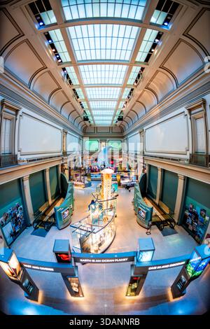 Smithsonian National Museum of Natural History Sant Ocean Hall Washington DC // WASHINGTON DC – die Sant Ocean Hall mit einem großen Walmodell, das von der Decke abgehängt wird, und diversen Exponaten für Meereslebewesen ist eine prominente Attraktion im Smithsonian National Museum of Natural History. Diese immersive Ausstellung konzentriert sich auf die Erforschung, Erhaltung der Ozeane und die Vielfalt der Meeresökosysteme, mit Ausstellungen wie „Earth is an Ocean Planet“. Das Museum befindet sich in der National Mall und ist eines der meistbesuchten Naturkundemuseen weltweit. Sie wurde 1910 gegründet und widmet sich Understanding Stockfoto