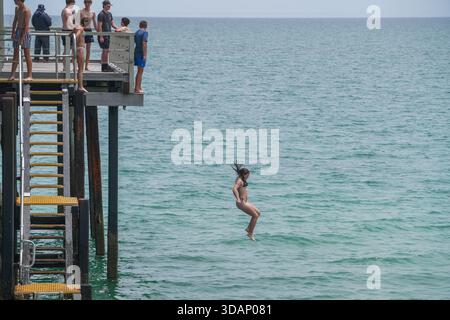 11. Dezember 2025 Ein Schwimmer taucht an einem heißen Sommertag von einem Pier in Adelaide Credit Amer Ghazzal/Alamy Live News Stockfoto