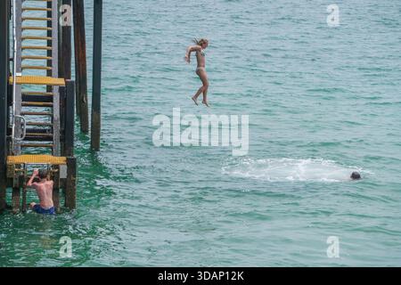 11. Dezember 2025 Ein Schwimmer taucht an einem heißen Sommertag von einem Pier in Adelaide Credit Amer Ghazzal/Alamy Live News Stockfoto