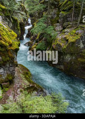 Avalanche Gorge, Pfad der Zedern, Ausgangspunkt des Avalanche Lake Trails, Glacier Nationalpark, westliche Seite Montana. Stockfoto