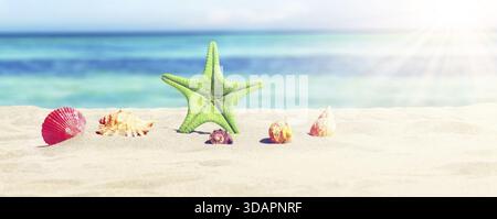 Sandy beach with beautiful starfish near sea on sunny summer day Stockfoto