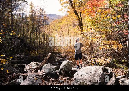 Ein Mann, der auf Felsen im Wald steht und ein Foto von Herbstbäumen mit Handy macht Stockfoto