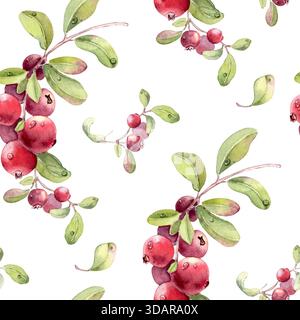 Aquarellfarben-Lingonberry- und Preiselbeermuster auf weiß. Handgezeichnete Beerenfrucht-Illustration mit grünen Blättern und Tautropfen für botanische Wiederholung Stockfoto