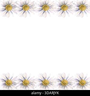 Quadratischer Rahmen mit Chrysanthemen. Handgemalte botanische Aquarellillustration isoliert auf weißem Hintergrund für Einladungen, Branding, Verpackung Stockfoto