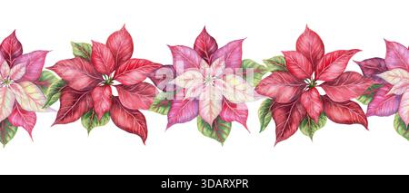 Nahtloser Rand mit roter und rosafarbener Weihnachtsstern. Handgemaltes Aquarell mit Buntstift und glänzender Textur. Festliche Girlande mit grüner Pflanze, perfekt für Rahmen- und Weihnachtskarten-Design. Stockfoto
