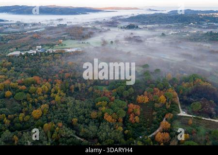 Blick von oben nach unten auf gemischten Wald mit Herbstfarben und Flecken von Morgennebel. Grüne Bäume, orangenes Laub und Nebel in ländlicher Landschaft Stockfoto