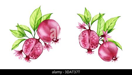 Aquarellkollektion mit zwei transparenten Granatapfelzweigen. Rote Früchte und grüne Blätter. Handgemalte Kunstwerke mit roten Früchten, Blumen und Grün Stockfoto