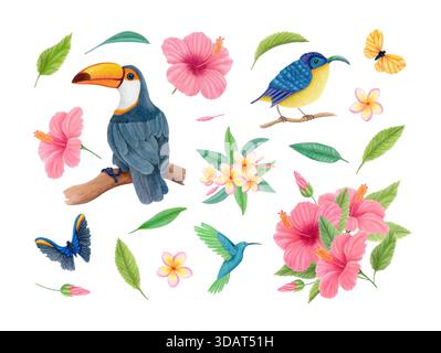 Aquarellset für tropische Vögel und Blumen. Tukan, sunbird, Kolibri, exotische Schmetterlinge, Hibiskus, plumeria. Stockfoto