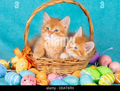 Zwei süße kleine Ingwerkätzchen in einem Korb neben bunten Ostereiern auf blauem Hintergrund Stockfoto