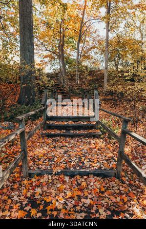 Holztreppen in Wäldern, bedeckt mit gefallenen Blättern am Herbsttag. Stockfoto