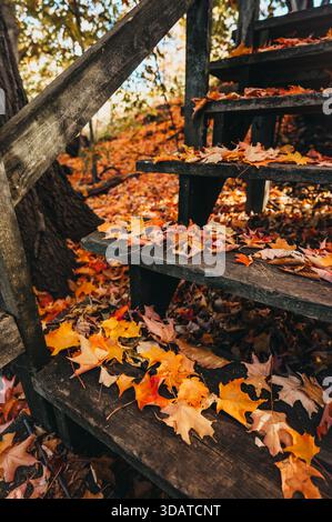 Hölzerne Treppen, die mit bunten, gefallenen Blättern am Herbsttag bedeckt sind. Stockfoto