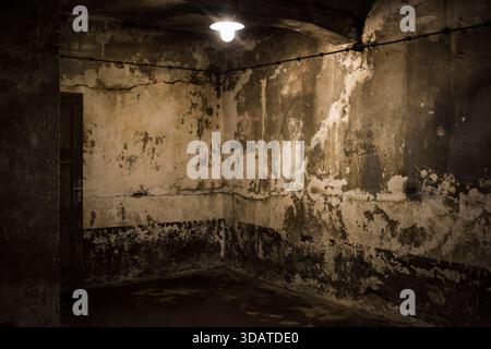 Blick auf das Innere der Gaskammer, in der Gefangene getötet wurden, im Konzentrationslager Auschwitz. Ab dem 12. Dezember wird das Auschwitz-Museum eine Ausstellung mit dem Titel „Auschwitz die Erfahrungen der Gefangenen des Lagers“ veranstalten, der erste von drei Teilen der neuen Hauptausstellung im Auschwitz-Museum in den Blöcken 8 und 9. Die Ausstellung zeigt Schicksale und Erfahrungen von Gefangenen, die während des Zweiten Weltkriegs im Konzentrations- und Vernichtungslager Auschwitz registriert waren. Sie dreht sich um drei Themen Registrierung, Lageralltag und Erfahrungen von Gefangenen Stockfoto